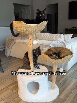 I’m actually surprised how sturdy it is! I was a little concerned when I saw the branch peices, but it’s purrfect & sooooo cute! I love the design and it fits so well with the rest of the livingroom decor 🤍 #astheticallypleasing #cattree #socute #luxury #luxurycattree #cutecats #catsoftiktok #fyp #cutecattree #basketcatbed #fauxrabbitfur #handwovenbaskets #hemprope #sisalscratchingpost #naturalwillowbranch #meowant #furbabyapproved