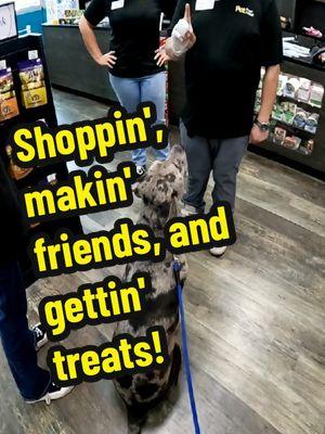 Bubba's favorite store: @petsupermarketstores  #petsupermarket #friends #fyp #foryou #foryoupage #dogsoftiktok #pets #floridadog #catahoulamix #dog #rescuedog 