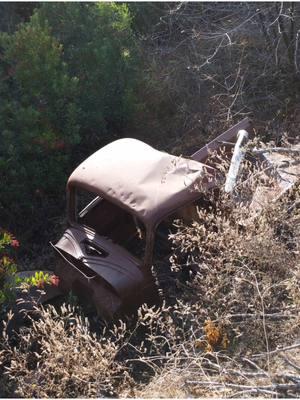 i wish i could save this truck #fyp #adventures #viral #abandonedcar #missingpeople #coldcases #djidrone #mystery #abandonedplaces #stolencar 