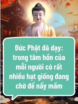 Đức Phật đã dạy: trong tâm hồn của mỗi người có rất nhiều hạt giống đang chờ để nẩy mầm ✨❤️‍🩹🙏 #tichphuccaimenh #tu #adidaphat #phậttạitâm #phật #followers➕ #tâmtrạng #xh #cuộcsống #phậtpháp #5️⃣ #🙏🙏🙏 