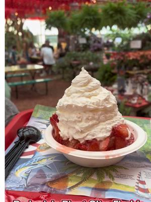 Parksdale Plant City, Florida - the BEST strawberry 🍓 Shortcake ever! #plantcity #plantcityflorida #florida #strawberries #strawberry #strawberryshortcake #shortcake 