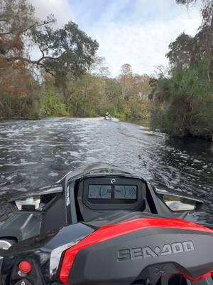 Old Florida 🐊.    #Florida #Tampa #SeaDoo #Lake #LakeTarpon #Water #Saturday #Alligator