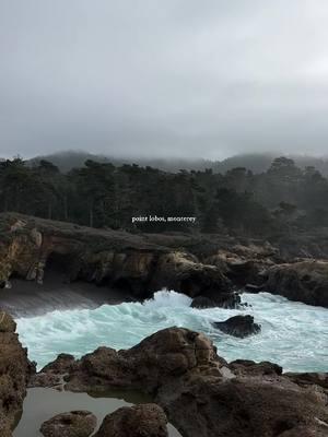 #pointlobos #pointlobosreservepark #carmelbythesea #montereybay #santacruz #californiabeach #pointlobosstatenaturalreserve #carmel #carmelcalifornia 