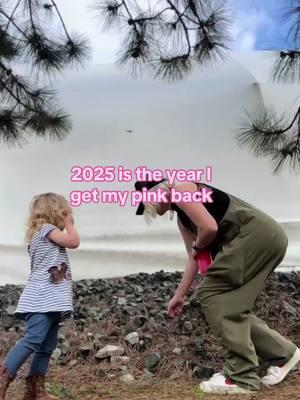 That last few years have been life giving but also life taking.  2024 set healthy boundaries and removed toxic people #relatable #momlife #motherhood #flamingo #pinkback #fypシ #relatablemom 