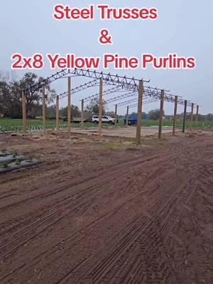 Trusses & purlins on a 40x70  in Plant City,Fl #fyp #foryoupage #fypシ #fy #trending #foryourpage #Love #viralvideo #viraltiktok #like #fyppppppppppppppppppppppp #fyppp #Florida #plantcity  #construction #farmlife #farm #grow #strawberry #steel #woodworking #work #barn #polebarn #flogrownpolebarns 