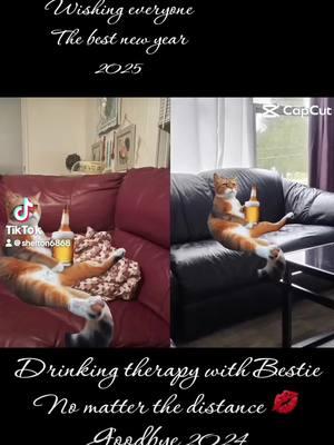 #SISSTARS #Drinking #Therapy #Cats #Bestie #Besties #BFF #Lol