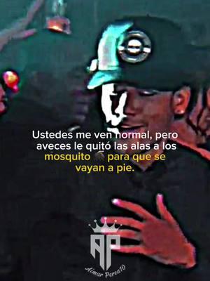 Ustedes me ven normal, pero aveces le quitó las alas a los mosquito para que se vayan a pie. Neymar hoy #neymarjr #neymar #aimarperea10 #frasesmotivadoras_De_Aimarperea10🥀🥊✍️ #mentalidad #frasesmotivadoras_De_Aimarperea10 #frases_reflexiones_de_aimarperea10🥀☽ 