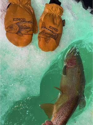 Land of the giants, hell of a ice fishing trip @HooliganHunter #fisherman #fishinglore  #colorado #fishing #FishGuy #troutbum #trout #icefishing #fypシ #watch 