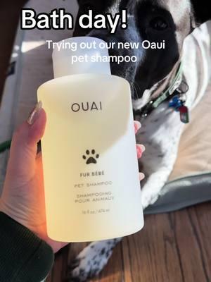 This shampoo is better than what I use for myself 😭  #tiktokshopfinds #ouai #dogfinds @THE OUAI 