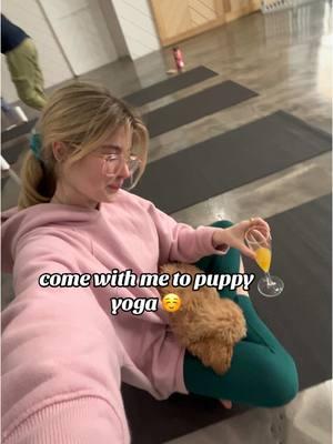 go to the puppy sphere in houston they were so lovely!!! #thepuppysphere #puppysphere #puppyyoga #yoga #houston #htx #puppy #puppiesoftiktok #poodle 