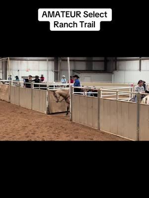 Rockys 3 rd run hes starting to anticipate his stops.  I have 1 more trail ill have to puck it up a beat or two.  #shiningspark #ranchhorse #ranchtrail #ranchhorses #vrhranchtrail 