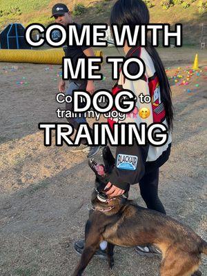 Come with me to dog training🤭🫡 #DogTraining #belgianmalinois #scarydogprivilege 