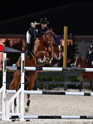 This guy ❤️ #onthisday #ocalaflorida #horsesoftiktok #horsegirl #internationalshowjumper #fypシ゚viral #worldequestriancenterocala #horsesoftiktok🐴 #fyp 