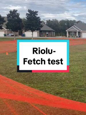 Riolu had 2 qualifying runs today for Fetch Novice! This was his last run. I’m so proud of him. #dogsoftiktok #dogtok #papillondog #papillonsoftiktok #dogsports #fetchdog #akcfetchnovice 