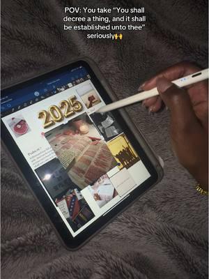 Job 22:28 “You will also decide and decree a thing, and it will be established for you; And the light [of God's favor] will shine upon your ways” NLT Vision 2025. I seal this in the blood, in Jesus name.🙌 #visionboard #visionboard2025 #byedecember #bye2025 #godsplan #pov #foryou #christiangoals #christiantiktok #viral 