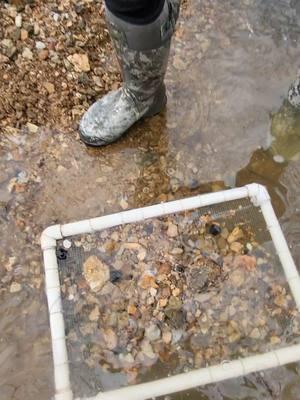 Pulled the handy dandy sift boxes out today! Good times were had and even found some treasures! 💪 #fyp #fypシ #fypシ゚viral #foryoupage #foryourpage #rockhound #ancientartifacts #arrowheads #sifting #artifacts #creek #whatmakesyouhappy #2024 #Missouri #Outdoors #rockhounding #rarefind #archaic #treasure #treasurehunt #treasurehunting #history #ancienthistory #nativehistory 