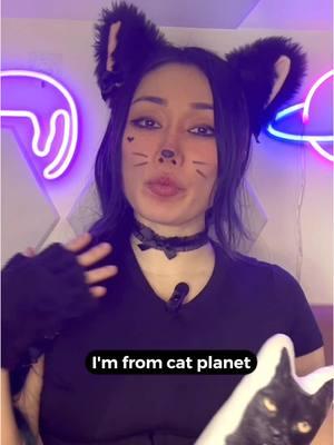 I’m YouTuber now meow 😸❤️❤️#catgirl #nekogirl #animegirl #weebshit 