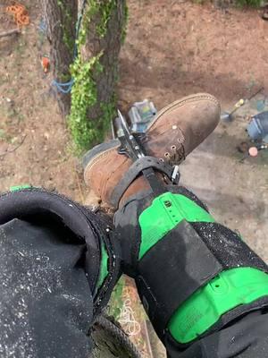 Treelife4life #fypage #fyp #fypシ #treelife #madeforthis #getrichorclimbtrying #sendit #trees #stihl #treeclimber #arbortec #monkeybeaver #treeguy #climber #treework 