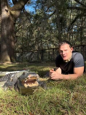 “What are you going to do with all the baby gators??” Well, we won’t be having any! As I explain in the video, preventing incubation halts embryonic development and that means we never have to worry about baby gators!  ~~~Our rescue gators are wild caught nuisance gators that would’ve otherwise been destroyed. The state of Florida destroys 8,000 “nuisance” gators annually, but we don’t have a nuisance gators problem but rather a nuisance HUMAN problem. 1k people a day move to FL, unsustainably developing the land, and a lot of ignorant people making a nuisance out of themselves. NEVER feed a wild gator, never have kids or pets near the water, and never swim in gator habitat! And of course, never attempt anything you see in my videos! If you would like to donate to the care of the sanctuary animals, we greatly appreciate any support!! You can make a tax deductible donations directly through our website bellowingacres.org  @bellowingacres  #animaleducation  #Rescue #AnimalRescue #AnimalSanctuary #ExoticAnimals #Animals #Animals #CuteAnimals #educational     #Gator #Alligator #crocodile #nilecroc #nilecrocodile   #reptile #scicomm #rescuegator  G 