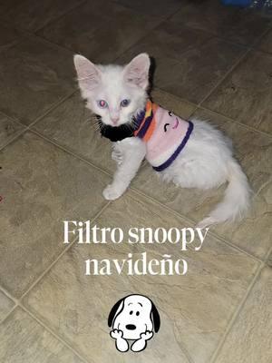 #filtrosnoopy #filtroia #feliznavidad #CapCut #pelucita #migatoyyo #hermosasdetiktok 