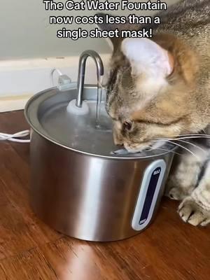 I think I need a cat now…This is too cool.  #catfountain #waterfountainforcats #catsoftiktok #cattok #falldealsforyou #tiktokmademebuyit 