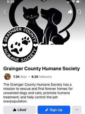 #tennessee #graingercountytennessee #graingercountyhumanesociety #doggies #adoptme #adopt #lovies #seeethearts #bringmehome #needhomes #fyp #featureme #feature #featurethis 