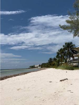 Bring back summer #florida #vacation #sjm #islamorada #beach