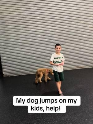 #fyp #dogsoftiktok #dogtrainer #puppytrainingtips #florida #puppytips #doggo #goldendoodles 