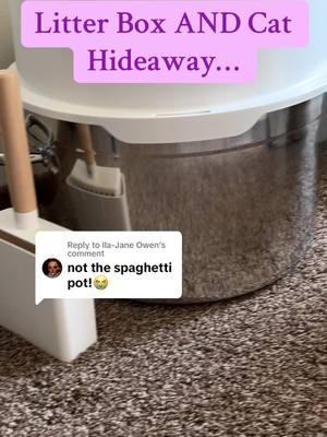 Replying to @Ila-Jane Owen haha I get it but it’s actually a great stainless steel litter box or even cat hideaway 🤗 #cat #catsoftiktok #cattok #litterbox #catlitterbox #stainlesssteellitterbox #litterboxhack #litterboxtips #cathideout #catbed #tiktokshopfinds #mademyyear #newyearnewaura #fyp 