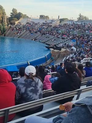 #seaworld #714oamf 