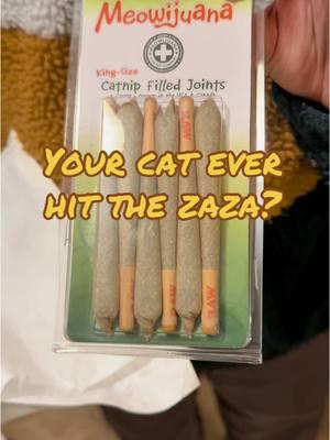 Replying to @☭ Trace 🇵🇸🔻 Let your cat dabble in a doobie!👌🍃🤣 #catnip #meowijuana #catmom #catdad #catlife