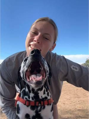 Sneak attack #dogs #dalmatianpuppy #bff #hunterboots 