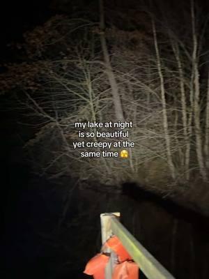 I was walking to the lake in the pitch dark, 🔫 in hand, turning my back every 5 sec 😭, so creepy lol  - - - #lakehouse #farmhouse #lakelife #creepy #scarytok #hauntinglybeautiful #fyp 