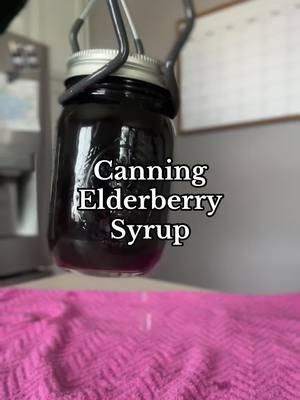 Elderberry syrup✨  Don’t forget to screen shot the recipe at the end, a staple in our cantry.  Elderberry kit from @It’s Jenn Again 🪴  . . . #elderberry #elderberrysyrup #medicinal #health #coldseason #homestead #canning #canningandpreserving 