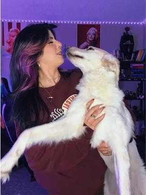 Great Pyrenees Energy to the rescue 🥹🥹🥹 #greatpyrenees #dogsoftiktok #pyrenees #dogmom 