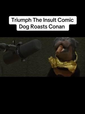 Triumph The Insult Comic Dog Roasts Conan #TriumphTheInsultComicDog #ConanObrien #ComedyGold #LateNightLaughs #EpicRoast #ThrowbackComedy #PuppetHumor #ComedyLegend #RobertSmigel 