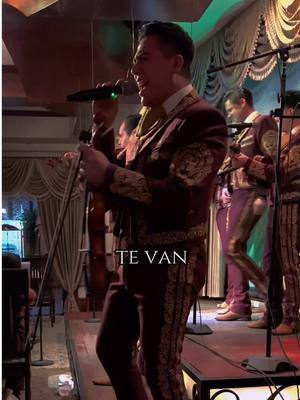 Dime que no te va muy bien… ❤️‍🩹🎶 #denimorales #mariachi #quetaltevasinmi #raphael #cover #musicamexicana #regionalmexicano #eternamenteenamorado 