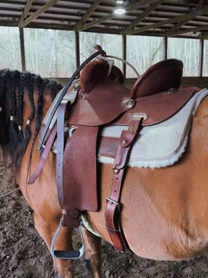 Bought myself my first brand new saddle for Christmas/ my birthday! 🥳@Burns Saddlery #burnssaddlery #horsetraining #prettyhorse #patternedhorseracing #cutehorse #barrelracing #arabianhorse #gradehorse #kayequine #dunhorse #arabiancross 