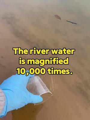 The river water is magnified 10,000 times. #microscopechallenge #microscopes #microscopetiktok #microscopics #microscopic #microscopy 