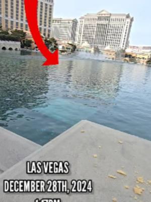 IS THIS THE 10 POUND BASS POND!? 😨😯 #fishing #fishingvideos #fishingtime #bassfishing #texasfishing #Outdoors #jermfishingtv #freshwaterfishing #fishtok #pondfishing #lasvegas 