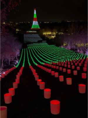 #luminaria at @Thanksgiving Point is one of our favorite family traditions! There is still time to take your family to experience it!  . . . #luminaria #momsatchristmas #thanksgivingpoint #MomsofTikTok #momof4 #christmas #christmastraditions #utahfamilyfavs #utahvalleyfamily 