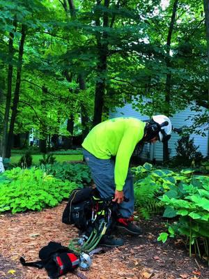 Cuando tenga 30 años tendré 15 de experiencia ##escalator##treeservice##treeclimber##arboleros##arboleros🌲👊##treework##fouryoupage