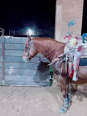 #LIVEhighlights #TikTokLIVE #LIVE #rojasranch #CDC #shinigspike🔥🐴 #caballos #charro #charreria 