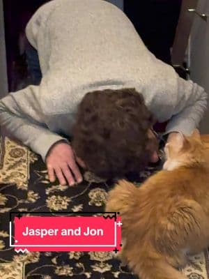 I feel like I’m interrupting a moment. #jasperandjon #jasperand #justthetwoofus #catloversclub 