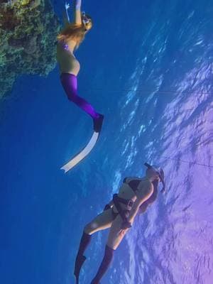 Underwater adventures hit different when you’re with your bestie🧜‍♀️🧜‍♀️ @sakuracatwife  @GoPro #bestiegoals #friendgoals #ocean #beach #underwater #freediver 