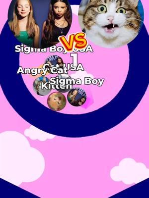 Sigma Boy vs Cats 🤩 #songcover #aisongcover #marblerace #cats #sigmaboy #fypツ 