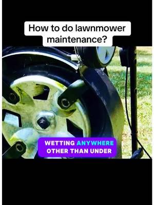 #lawncare #lawn #mower #maintainance #usa_tiktok #usa🇺🇸 