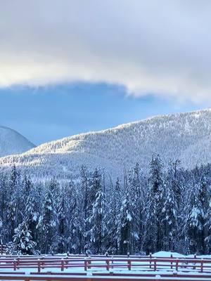 Unbelievable #montana #mountains #pureimagination 