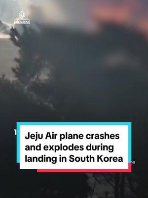 A plane crash has killed almost everyone on board the South #Korean #JejuAir Flight 2216. The #Boeing jet exploded on the tarmac after skidding along the runway during a landing malfunction. #news 