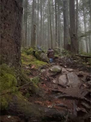 Soggy hike yesterday #pnwphotographer #soggy #getoutside 